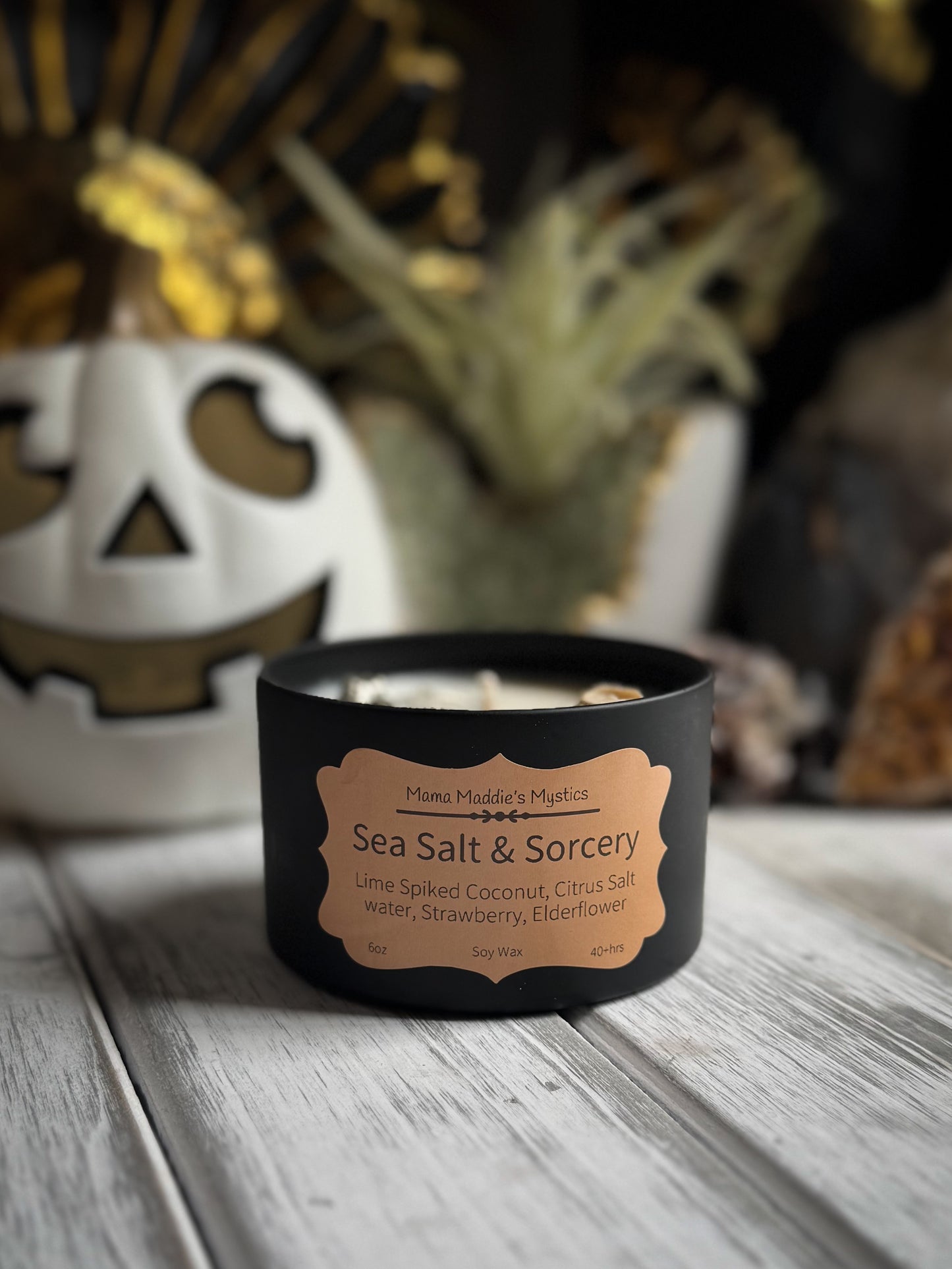 Sea Salt & Sorcery