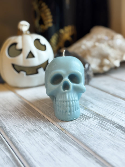 Chillin in the Crypt Skull